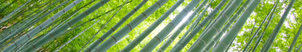 材木についての口コミ！！