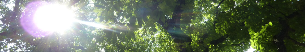 オメガ OMEGA関連・最新情報！！